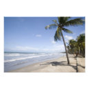 Search for trinidad and tobago posters Travel
