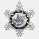 Recherche de black cat Amoureux des chats