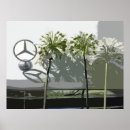 Search for multi region posters White