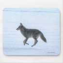 Search for coyote electronics Wildlife