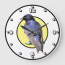 Recherche de martinique horloges Nature