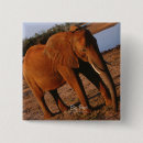 Search for elephant square buttons Red