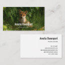 Recherche de choux cartes visite Nature