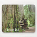 Search for coolest mousepads Dad