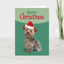Search for yorkie christmas cards Animal