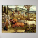 Search for minos Cassoni