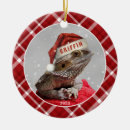Search for beard ornaments Plaid