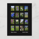 Recherche de alpin cartes postales Suisse
