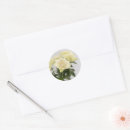 Search for floral photograph stickers Beautiful