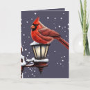 Search for winter scene christmas cards Cardinals