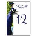 Search for peacock table cards Stylish