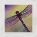Search for dragonfly business cards Dragonflies