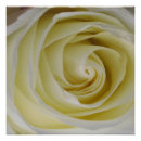 Recherche de 20x20 posters Jaune