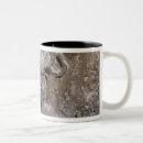 Search for gallo mugs Portrait