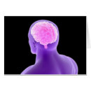 Recherche de sensoriel cartes postales Lobe