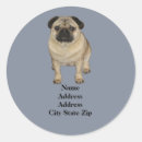 Search for pug mom stickers Dog