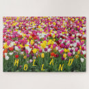 Search for holland tulips puzzles Nature