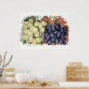 Search for white grape posters Wine