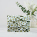 Search for brides horizontal postcards Flower