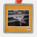 Search for ram ornaments I can has cheezburger