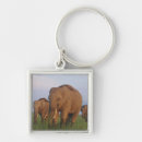 Search for grassland keychains Field