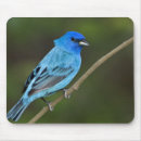 Search for bunt mousepads Fauna