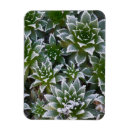 Search for succulents christmas cards Green