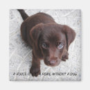 Recherche de chiot drôle magnets Mignon