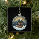 Search for hiking ornaments Outdoors