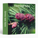 Search for pine tree avery binders Nature