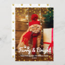 Search for furry and bright christmas cards Cat