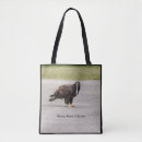 Search for eagle conservation Nature