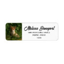 Search for red fox return address labels Wildlife