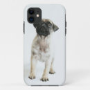 Search for pug picture iphone cases Puppy