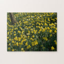 Recherche de jonquilles puzzles Blanc