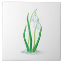 Search for snowdrop tiles Floral