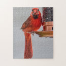 Search for cardinal bird puzzles Feather