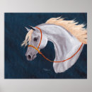Recherche de mane posters Equine