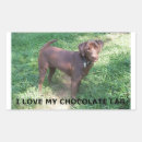 Search for chocolate lab stickers Cute