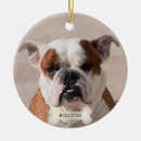 Search for boxer dog gifts Picture