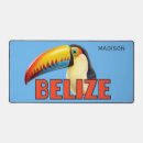 Search for belize electronics Travel