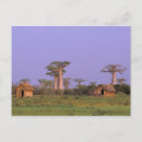 Recherche de tronc cartes postales Succursale