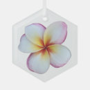 Search for frangipani ornaments Hawaii