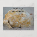 Search for seashell photography postcards Beach