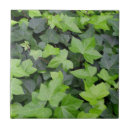 Search for ivy leaf tiles Green