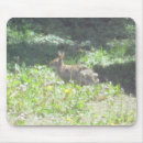 Search for wilde mousepads Bunny
