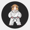 Search for karate silhouette stickers Funny