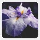 Search for japanese flower stickers Iris