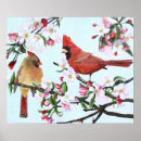 Search for male female cardinal art Nature