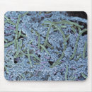 Recherche de microscopique tapis souris Bactérie